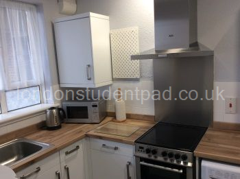kitchen 2 - right of window